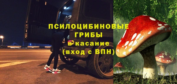 прущие грибы Балабаново