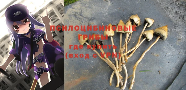 прущие грибы Балабаново
