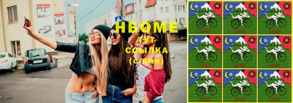 прущие грибы Балабаново