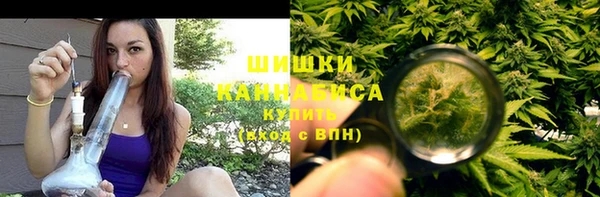 молекула духа Арсеньев